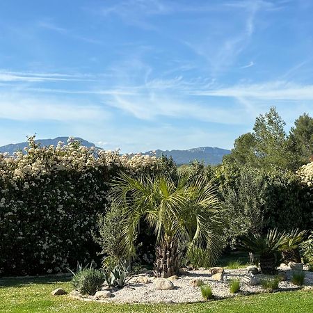Joli Havre De Paix Villa Prades-le-Lez Dış mekan fotoğraf